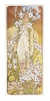 Pohled Alfons Mucha - Lily, dlouh - neuveden