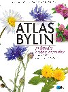 Atlas bylin - Prvodce eskou prodou - Marta Knauerov; Jana Drnkov