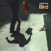 Bird - Zdenk Bna