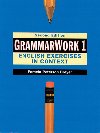 GrammarWork 1: English Exercises in Context - Peterson Breyer Pamela