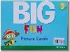 Big Fun 3 Picture Cards - Herrera Mario, Hojel Barbara