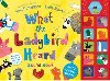 What the Ladybird Heard Sound Book - Donaldson Julia