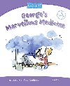 Level 5: Georges Marvellous Medicine - Hopkins Andrew