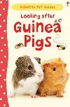 Looking After Guinea Pig - Howell Laura
