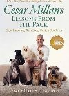 Lessons from the Pack : Ten Inspiring Ways Dogs Enrich Our Lives - Millan Cesar