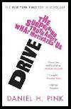 Drive : The Surprising Truth About What Motivates Us - Pink Daniel H.