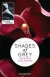 Shades of Grey 1/Geheimes Verlangen - James E. L.