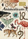 Animalium - Katie Scottová, Jenny Broomová