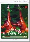 Swing, Slither, Swim Book with Online Access code - Walker Theo