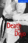 Death in the Dojo Level 5 - Leather Sue
