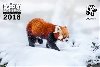 Hvzdy prask Zoo - Nstnn kalend 2018 - Vclav ilha