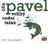 Velik vodn tulk - CD (te Pavla Zednka) - Pavel Ota