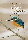 Prchav okamiky prody - Fotoapartem od jara do zimy - Vladimir Kunc