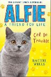 Alfie Cat in Trouble (Alfie A Friend for Life) - Rachel Wells