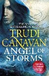 Angel of Storms : Book 2 of Millenniums Rule - Canavan Trudi