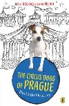 The Circus Dogs of Prague - Delaney Rachelle