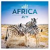 Kalend poznmkov 2019 - Divok Afrika, 30 x 30 cm - Presco
