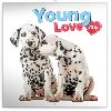 Kalend poznmkov 2019 - Young Love, 30 x 30 cm - Presco