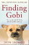 Finding Gobi (main Edition) - Dion Leonard