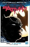 Batman - Tom King; David Finch