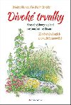 Divok trvalky - Krsn zhony s plan rostoucmi rostlinami, 22 nvrh vsadeb pro kad stanovit - Brigitte Kleinod; Friedhelm Strickler