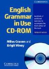 English Grammar in Use CD-ROM: Network CD-ROM (30 users) - Viney Brigit