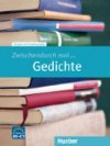 Zwischendurch mal...: Gedichte (A1-C1) - Wicke Rainer E.
