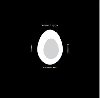 vejce / eggs + LP - Olga Stehlkov