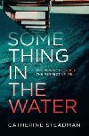 Something in the Water : The Gripping Reese Witherspoon Book Club Pick! - Steadmanov Catherine