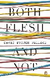 Both Flesh And Not - Foster Wallace David