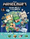 Minecraft - Kniha peit v ocenech - Egmont