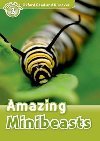 Oxford Read and Discover 3: Amazing Minibeasts - Northcott Richard