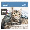 Cats - nstnn kalend 2020 - Helma
