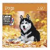 Dogs - nstnn kalend 2020 - Helma