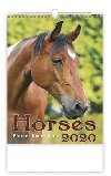 Horses/Pferde/Kon/Kone - nstnn kalend 2020 - Helma