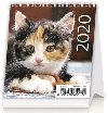 Mini Kittens - stoln kalend 2020 - Helma