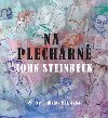 Na plechrn - John Steinbeck