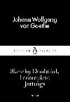 Sketchy, Doubtful, Incomplete Jottings (Little Black Classics) - Goethe Johann Wolfgang