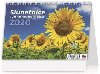Kalend stoln 2020 - Slunenice - Helma