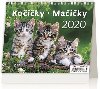 Kalend stoln 2020 - Minimax Koiky/Maiky - Helma