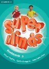 Super Minds Level 3 Flashcards (Pack of 83) - Puchta Herbert