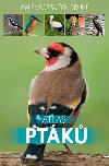 Atlas ptáků - Bookmedia