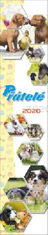 Ptel 2020 - nstnn kalend - Spektrum Grafik
