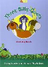 Three Billy-goats Activity Book (fairy T - Lawday Cathy