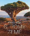 Stromy Zem - Tom Mek