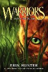 Warriors 1 : Into the Wild - Hunter Erin