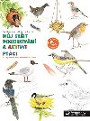 Ptáci - Můj sešit pozorování a aktivit - Eve Herrmann; Roberta Rocchi