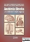 Anatmia loveka pre nelekrske tudijn odbory - Yvetta Mellov; Gabriela Hekov; Desanka Vbohov