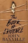 The Book of Evidence - Banville John