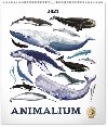 Kalend 2021 nstnn: Animalium - Lucie Jenkov, 48  56 cm - Presco